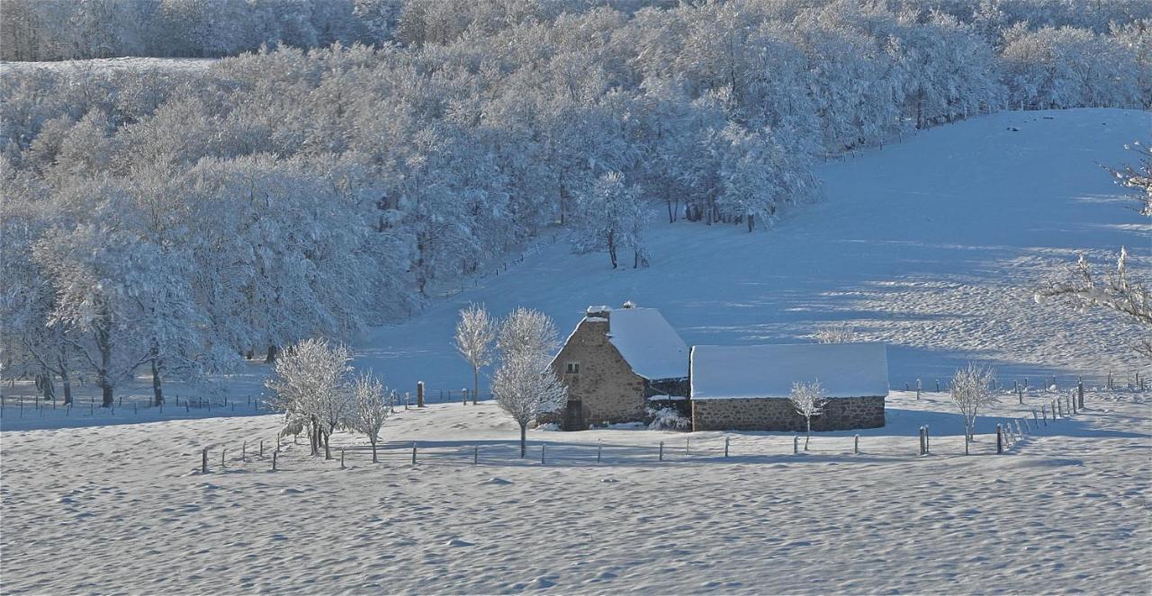 Aux Portes D'Aubrac Studio 2 Personnes Panzió Condom-d'Aubrac Kültér fotó